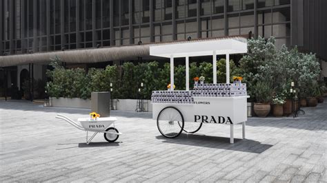 prada flower stand|Prada flowers campaign.